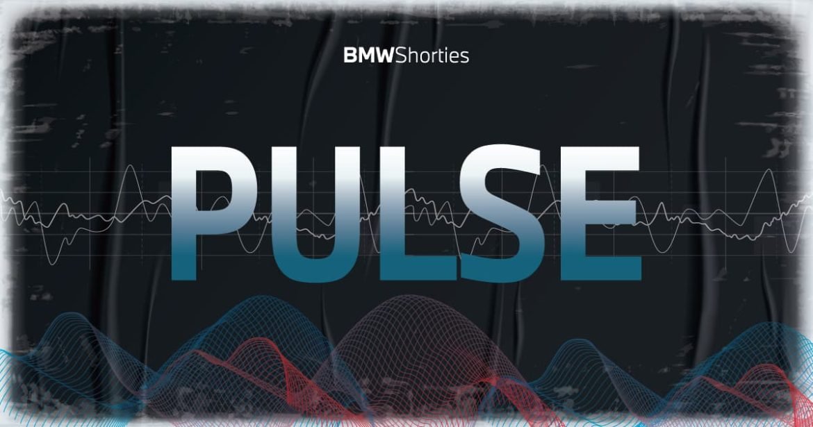 02. The BMW Shorties 2024 – PULSE